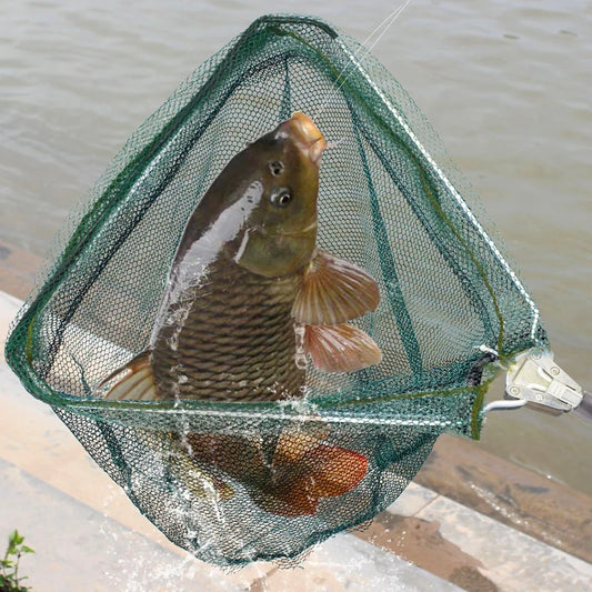 Aluminum Alloy Telescoping Fish Landing Net